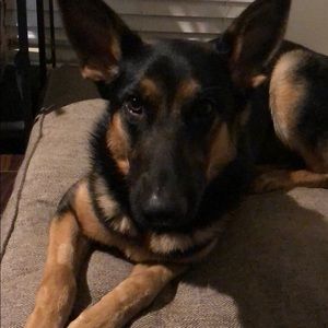 Meet your Posher, Lisa